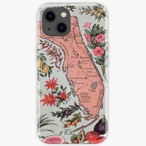 Vintage Map of Florida (1917) iPhone Case